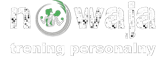 Nowaja logo
